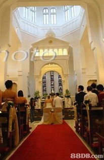 專業數碼攝影服務 捕捉瞬間，塑造永恒